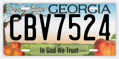 GA license plate CBV7524