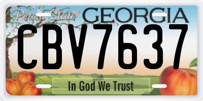 GA license plate CBV7637