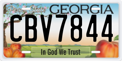 GA license plate CBV7844
