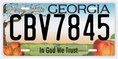 GA license plate CBV7845
