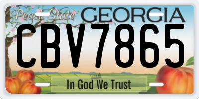 GA license plate CBV7865