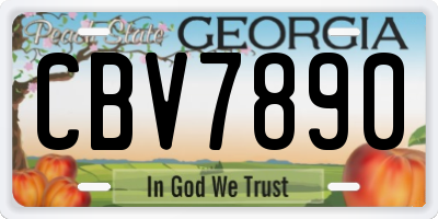 GA license plate CBV7890