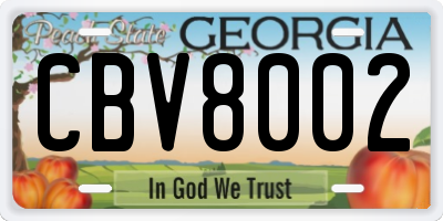 GA license plate CBV8002