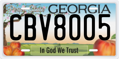 GA license plate CBV8005