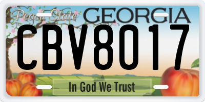 GA license plate CBV8017