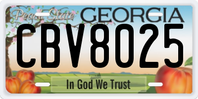 GA license plate CBV8025