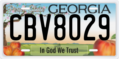 GA license plate CBV8029