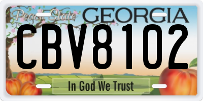 GA license plate CBV8102
