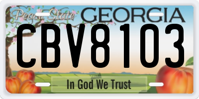 GA license plate CBV8103