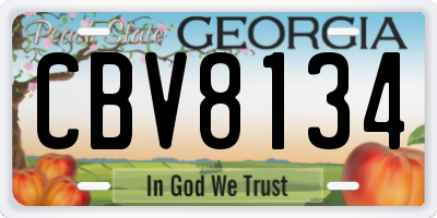 GA license plate CBV8134