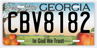 GA license plate CBV8182