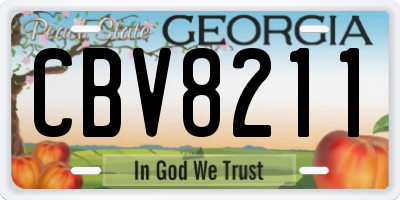 GA license plate CBV8211