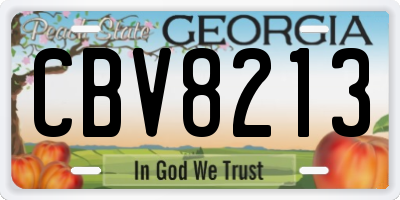 GA license plate CBV8213