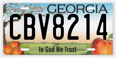 GA license plate CBV8214