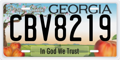GA license plate CBV8219