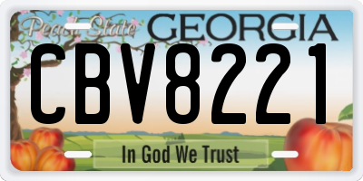 GA license plate CBV8221