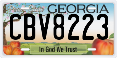GA license plate CBV8223
