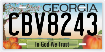 GA license plate CBV8243