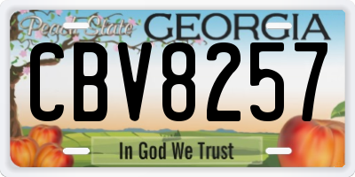 GA license plate CBV8257