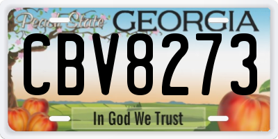 GA license plate CBV8273