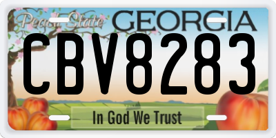 GA license plate CBV8283