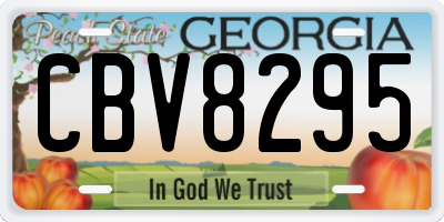 GA license plate CBV8295