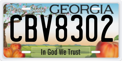 GA license plate CBV8302