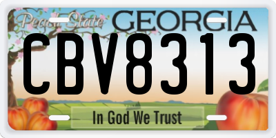 GA license plate CBV8313