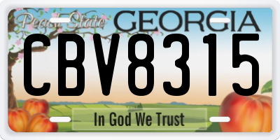GA license plate CBV8315