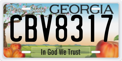 GA license plate CBV8317