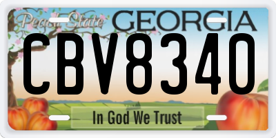 GA license plate CBV8340