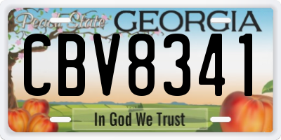 GA license plate CBV8341