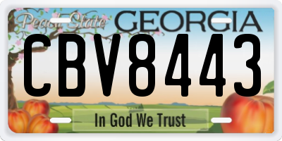 GA license plate CBV8443