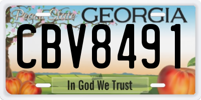 GA license plate CBV8491