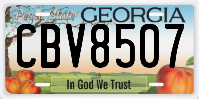 GA license plate CBV8507