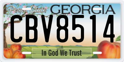 GA license plate CBV8514