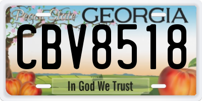 GA license plate CBV8518