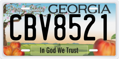 GA license plate CBV8521