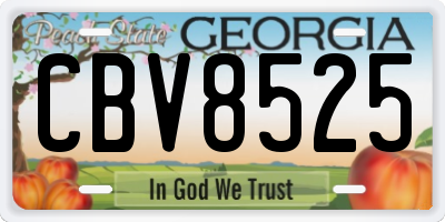 GA license plate CBV8525