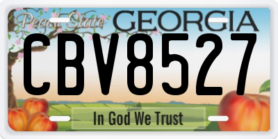 GA license plate CBV8527