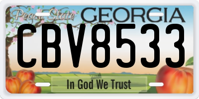 GA license plate CBV8533