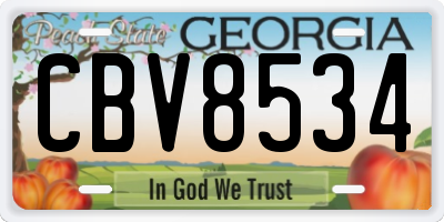 GA license plate CBV8534