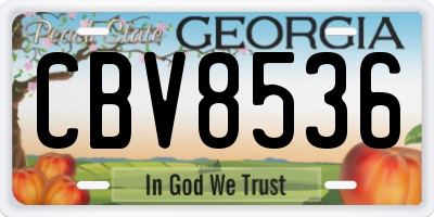 GA license plate CBV8536
