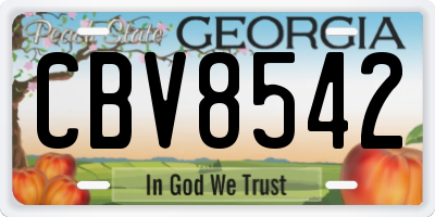 GA license plate CBV8542