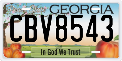 GA license plate CBV8543