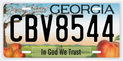GA license plate CBV8544