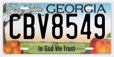 GA license plate CBV8549