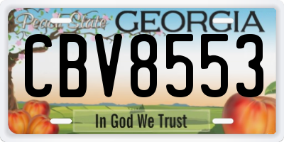 GA license plate CBV8553