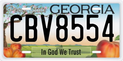 GA license plate CBV8554