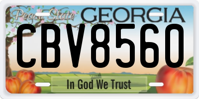 GA license plate CBV8560